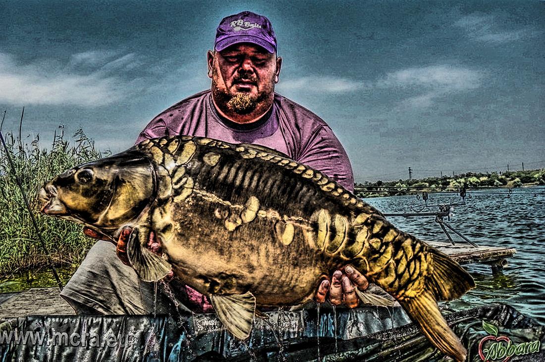 MeetCarp Romanian Awards 2013 - 1010113hdrmode2-2.jpg